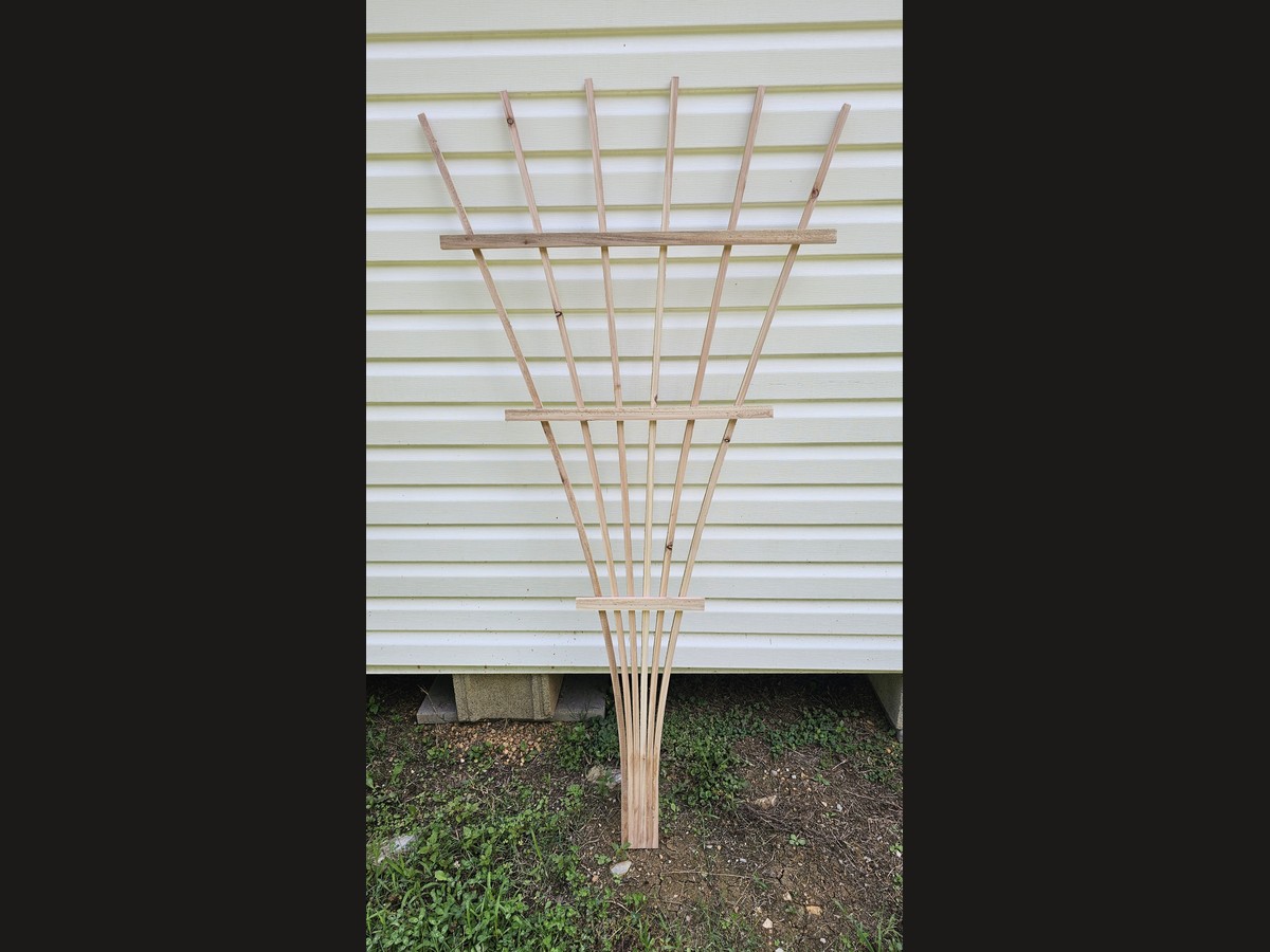 Arbor Fan 6-tine